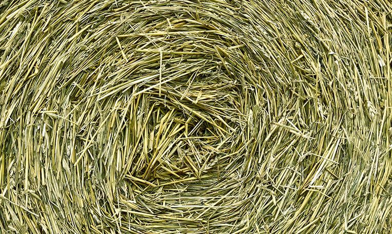 ペットのしきわら用に最適な干し草