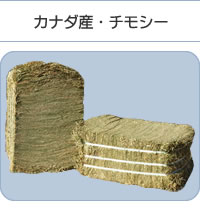 カナダ産・チモシー